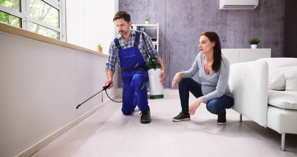 Best Residential Pest Control  in Grover, WY